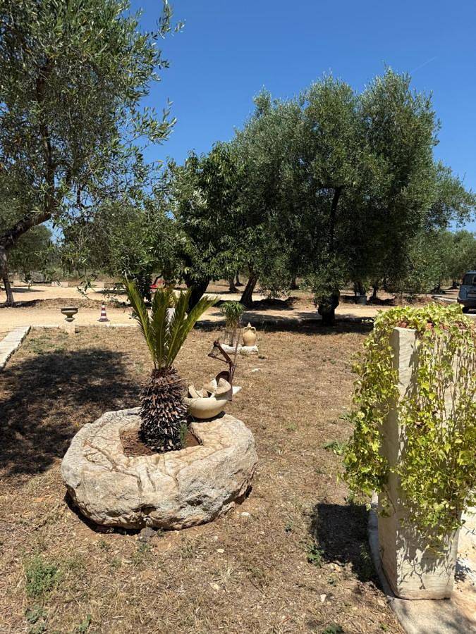 Agricampeggio Dei Nobili in Bitetto, Provincia di Bari