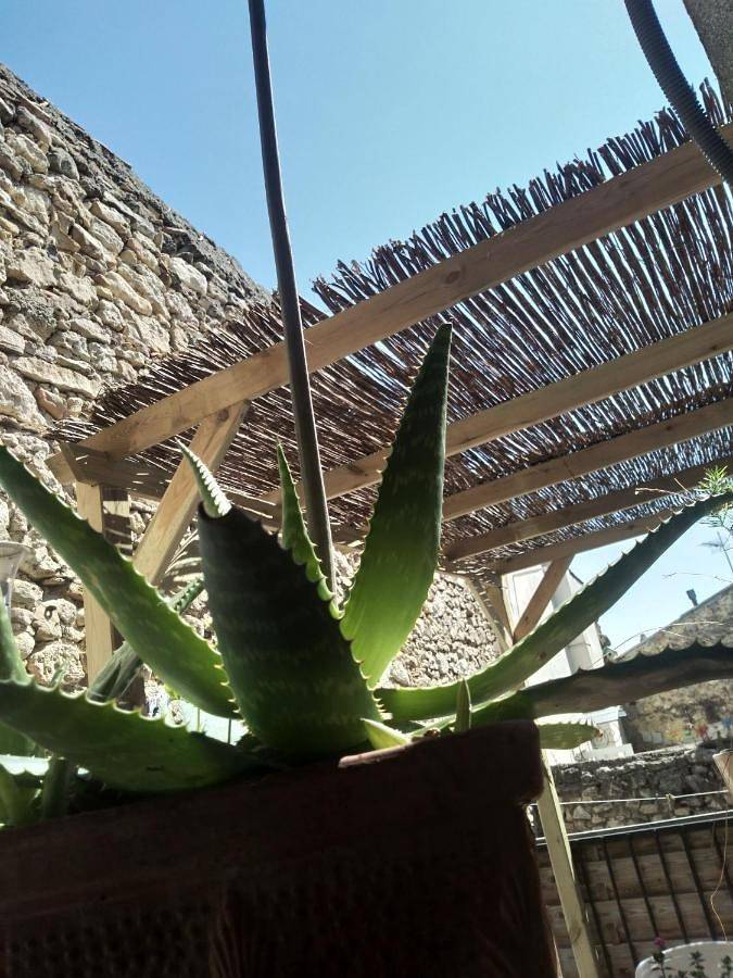 Gîte pour 5 personnes, avec balcon à Capestang - 2