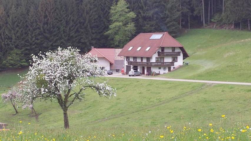 Gîte pour 7 personnes, avec vue et jardin à Biederbach