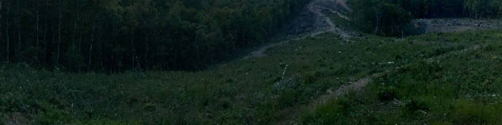 Heartwood♥ Cabin loft w/private Hottub, Hiking, Fishing, & Ziplines on 66 acres! in Floyd County