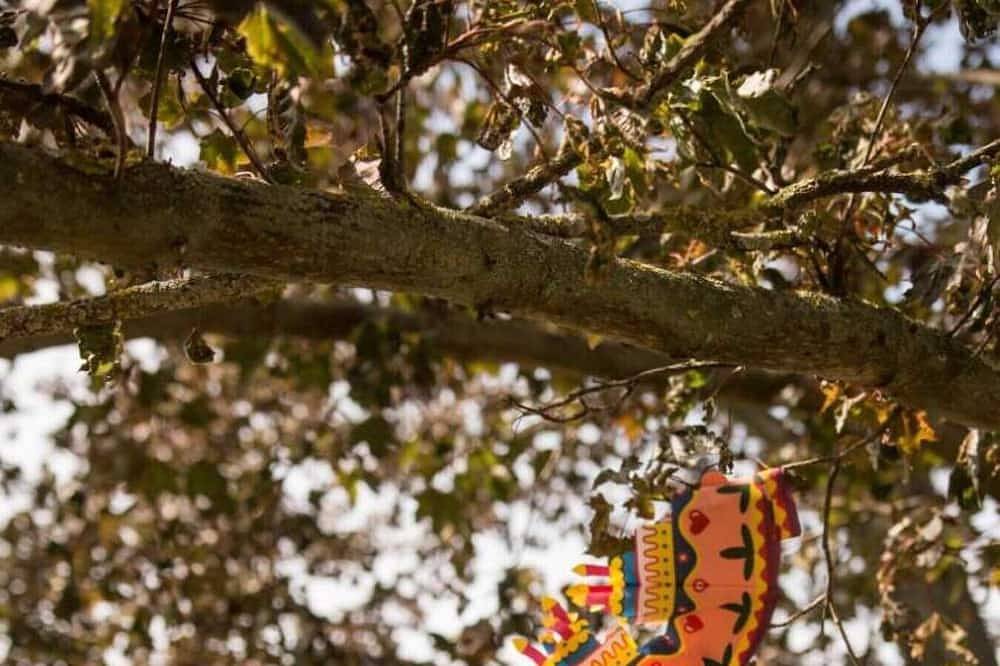 Chalet für 2 Personen in Győr-Moson-Sopron megye, Westtransdanubien