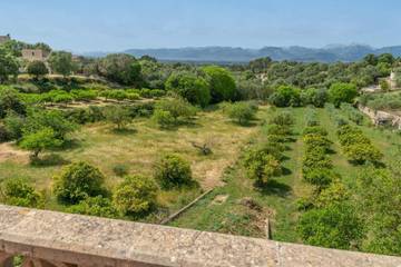 Ferienhaus in Costitx, Mallorca Inselmitte für 6 