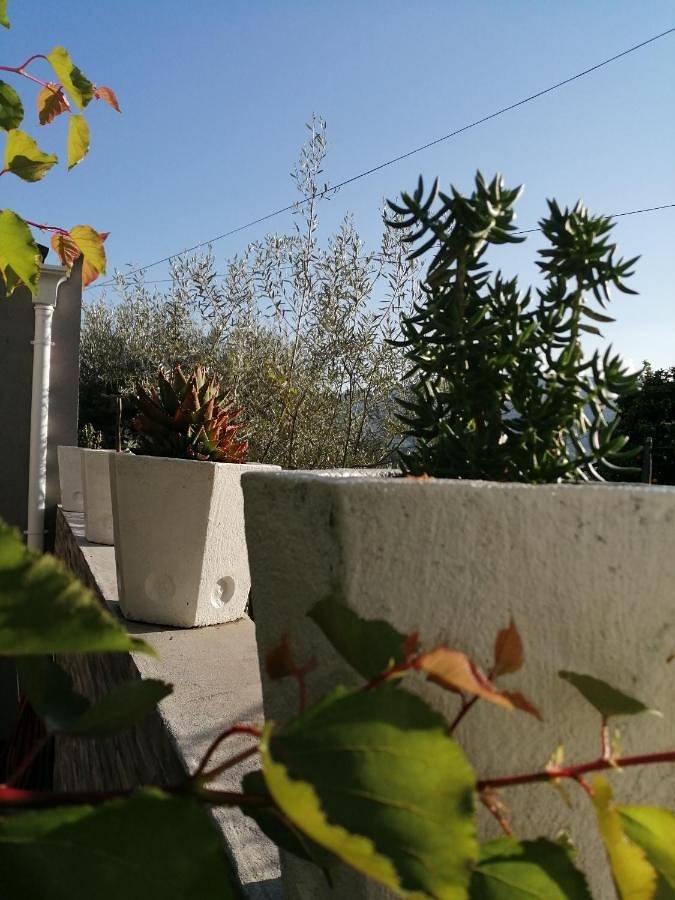 Location de vacances pour 6 personnes, avec jardin et vue à Peso da Régua - 2