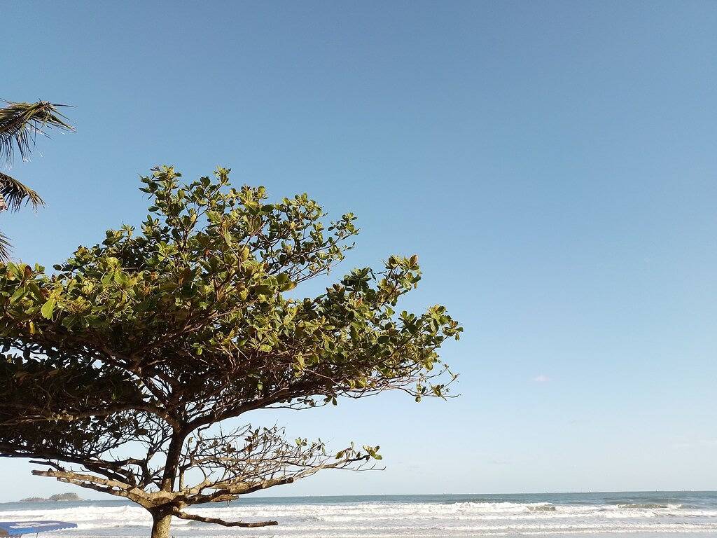 Ganze Wohnung, Einfaches Penthouse mit Grill und Terrasse in Praia da Enseada (Guarujá), Baixada Santista