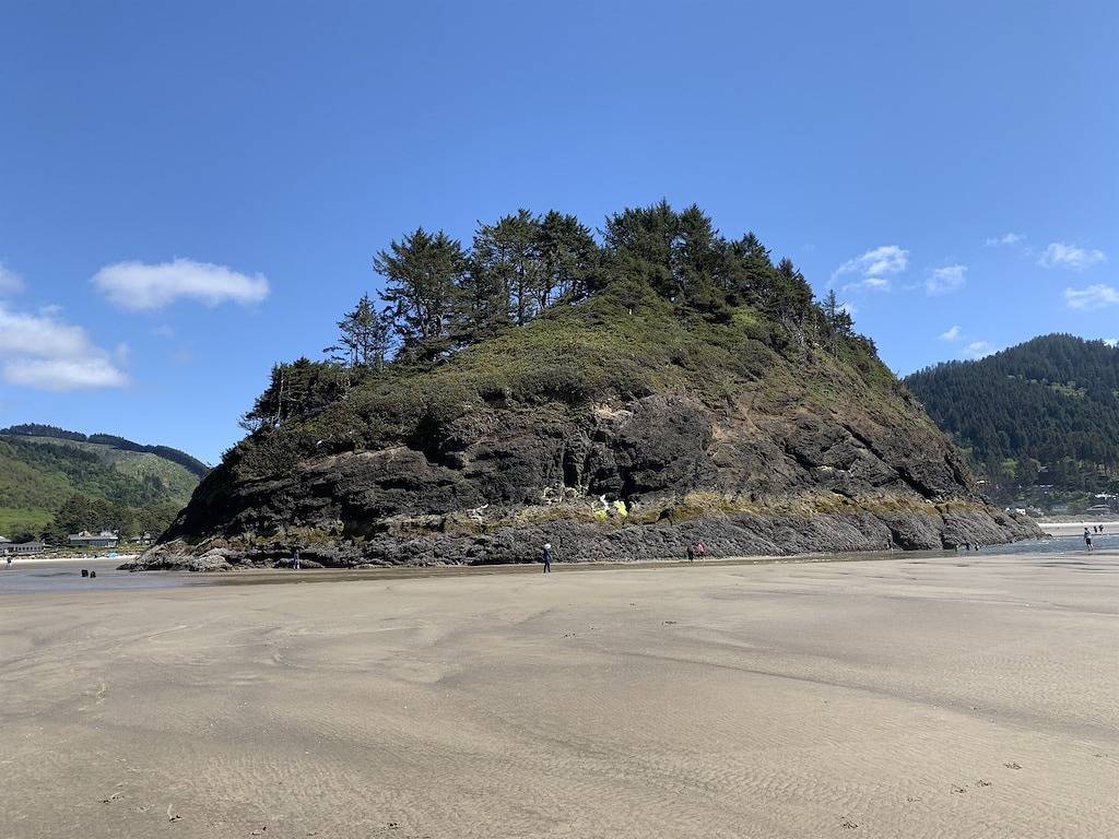 Neskowin Gem - Beach Front Property in Tillamook County