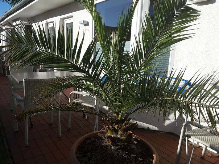 Ferienwohnung für 6 Personen, mit Terrasse und Garten in Ückeritz