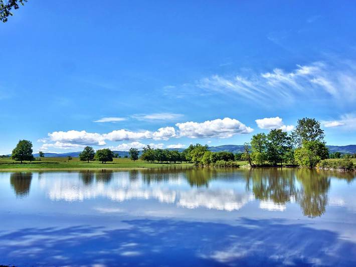 Gîte pour 14 personnes, avec sauna ainsi que jardin et terrasse dans la Loire - 2