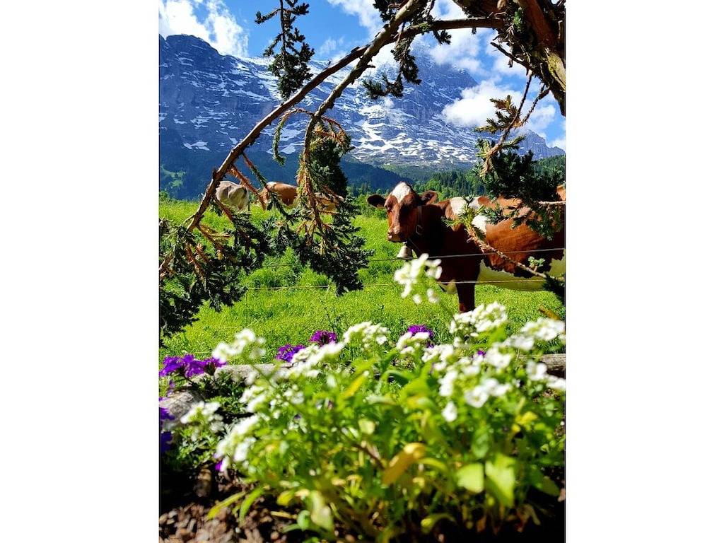 Apartamento vacacional I en Chalet Bodenwald in Grindelwald, Región de Grindelwald