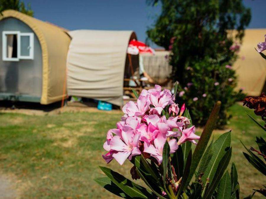 Camping Le Roussillon  - Tente en toile et en bois 4 personnes - C- Coco Lodge - 2 chambres 16m² in Saint-Cyprien-Plage, Saint-Cyprien