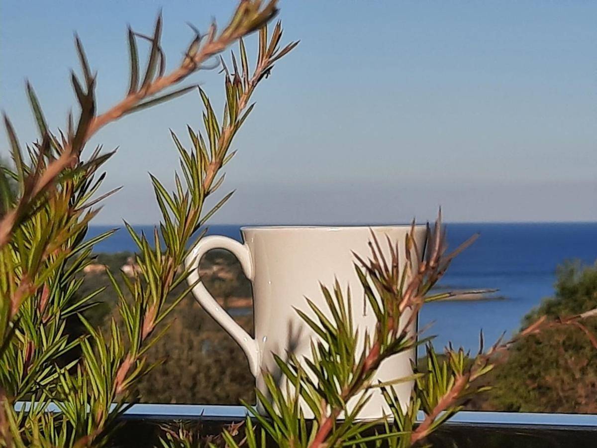 Davia Hotel in Corbara, Région de Calvi