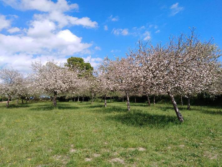 Location de vacances pour 4 personnes, avec jardin à Saint-Germain-le-Gaillard - 3