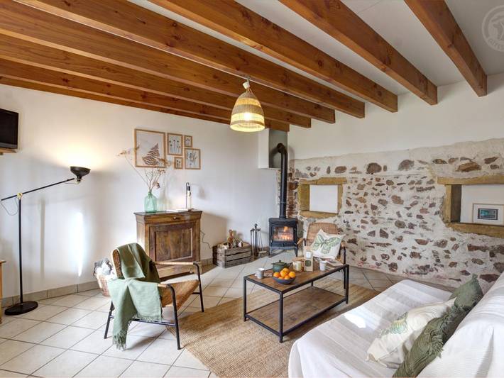 Bequemes Ferienhaus im Herzen der Loire mit umzäuntem Garten in Sevelinges, Roanne und Umgebung