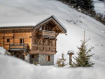 Chalet pour 11 personnes, animaux acceptés dans La Plagne