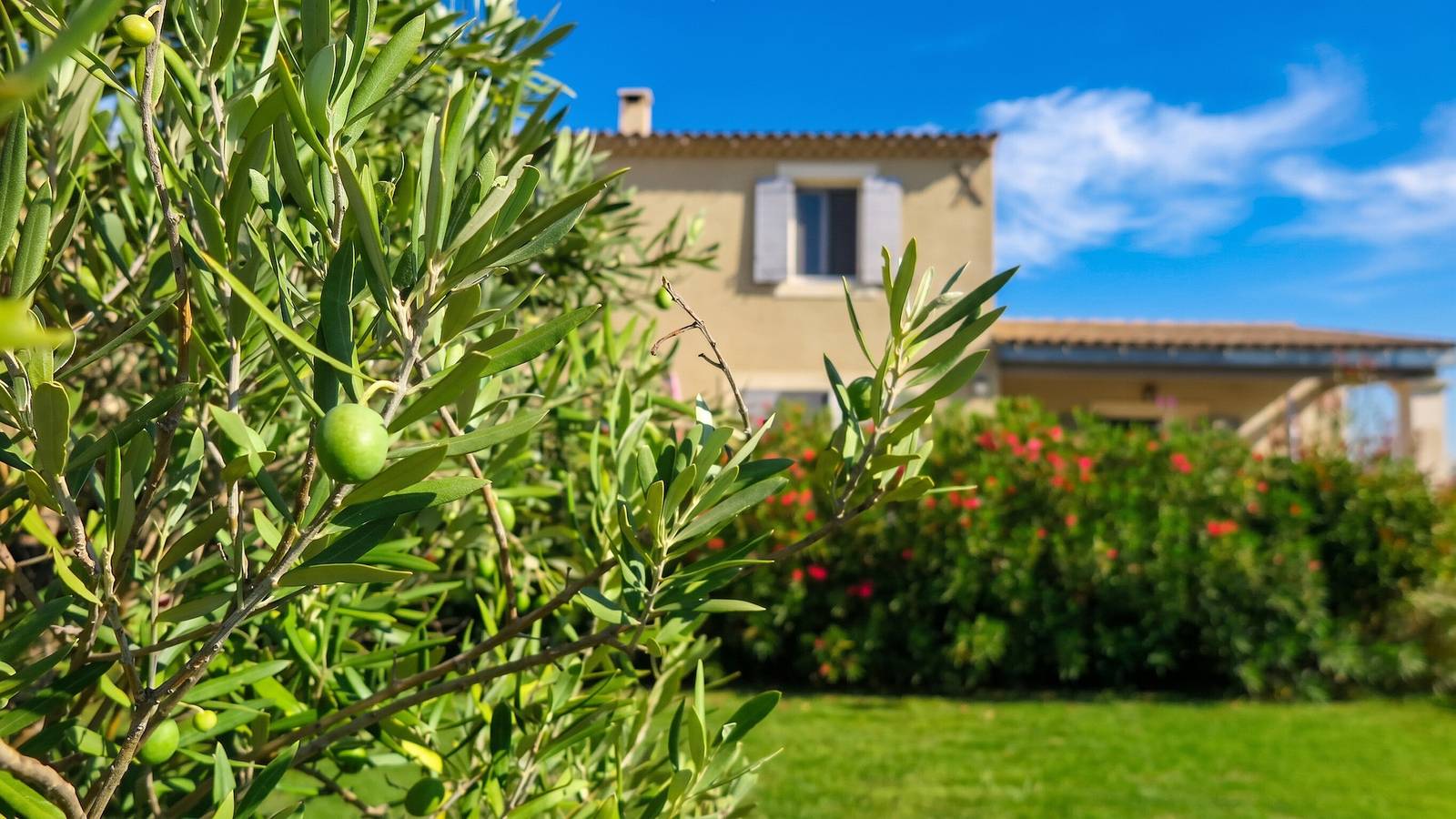 Ganzes Studio, Gemütliches Studio mit Pool in Cabrières-d'Avignon 40 m² in Cabrières-d'Avignon, Regionaler Naturpark Luberon