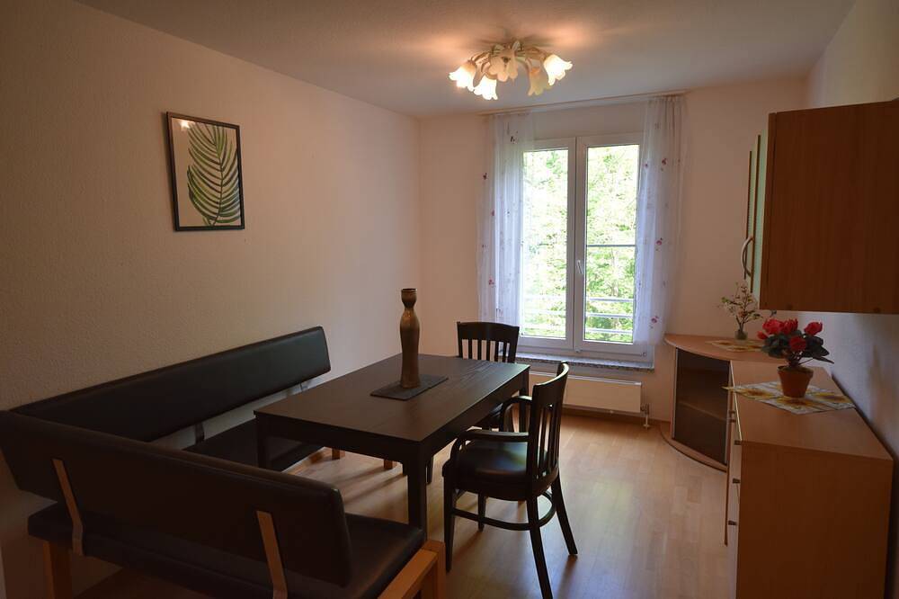 Ganze Wohnung, Große, zentrale Wohnung am Wielandpark mit Parkplatz in Biberach an der Riß, Oberschwaben