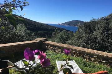 Gîte pour 5 personnes, avec jardin et balcon dans Île du Levant