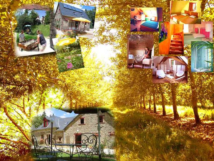 Gîte pour 11 personnes, avec Terrasse et Jardin à La Selle-Craonnaise
