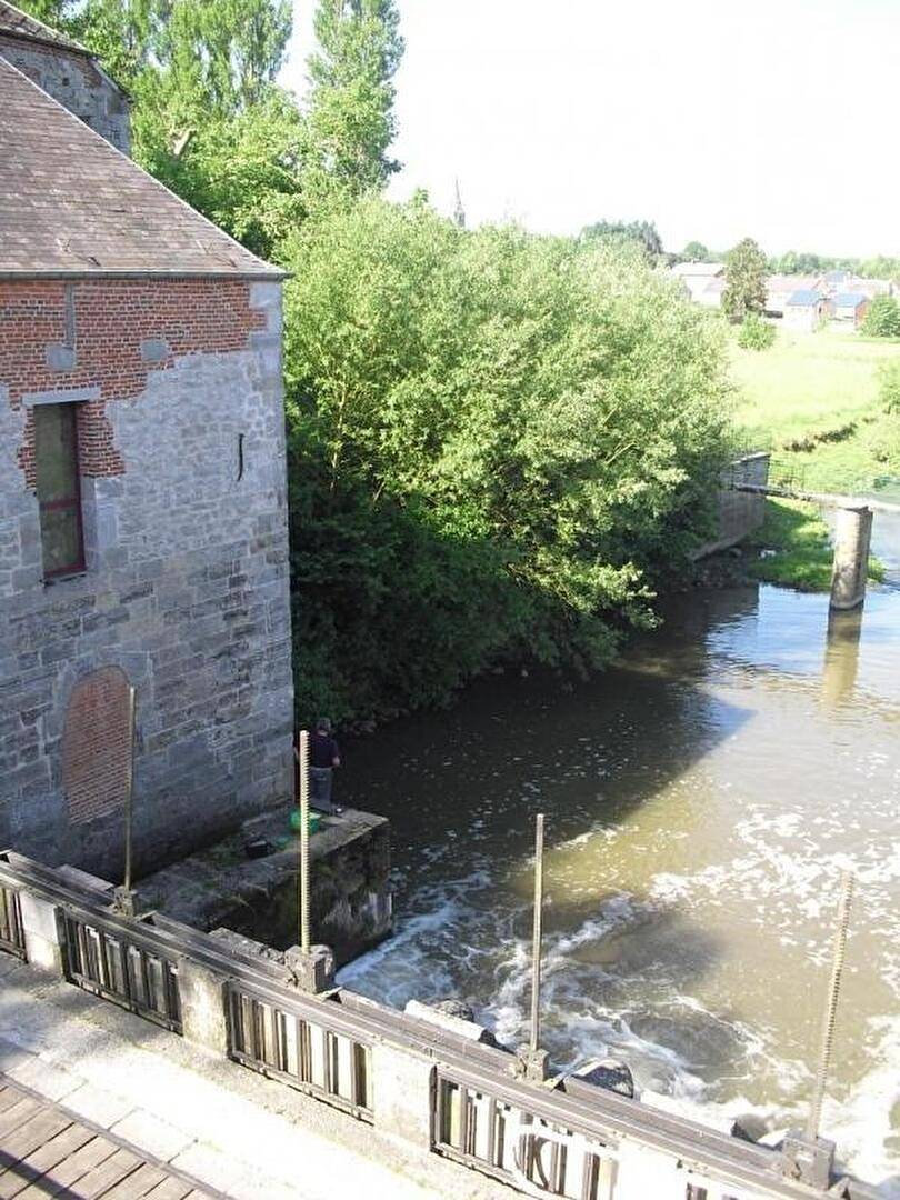 Gite Le Moulin (4170) in Étrœungt, Avesnes-sur-Helpe