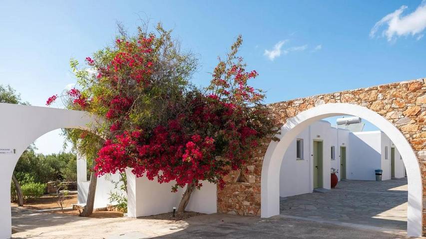 Hôtel pour 3 personnes, avec Balcon et Terrasse ainsi que Jardin et Bassin pour enfant dans Aliki - 3
