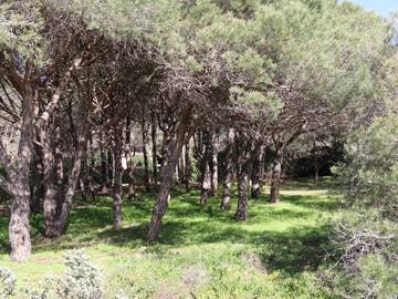 Villa für 8 Personen in Cavalaire-sur-Mer, Draguignan Region, Bild 3