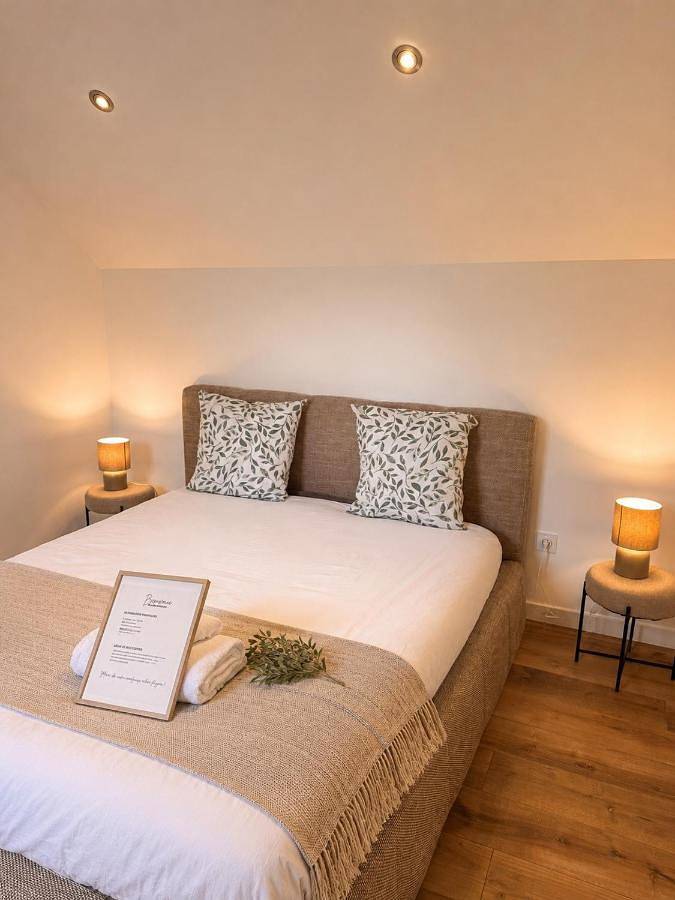 Appartement entier, Le Jean Jaurès Arrivée Autonome in Vierzon, Région de Vierzon