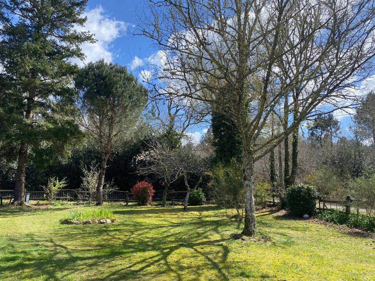 Appartement entier, Entre Bordeaux et l'océan in Salles, Région d'Arcachon