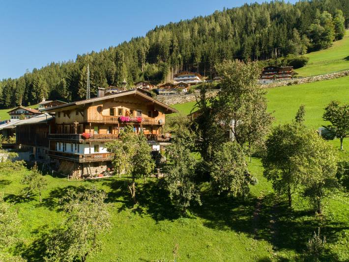 Bauernhof für 5 Personen, mit Balkon und Garten in Österreich - 2