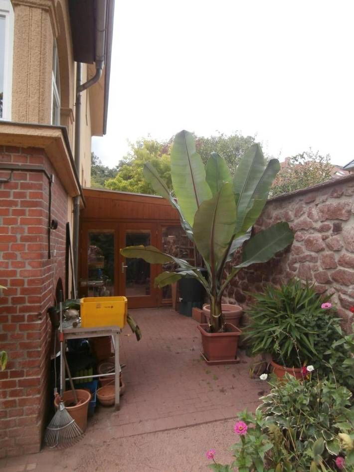 Ferienwohnung für 6 Personen, mit Ausblick und Garten, mit Haustier in Halle (Saale) - 4