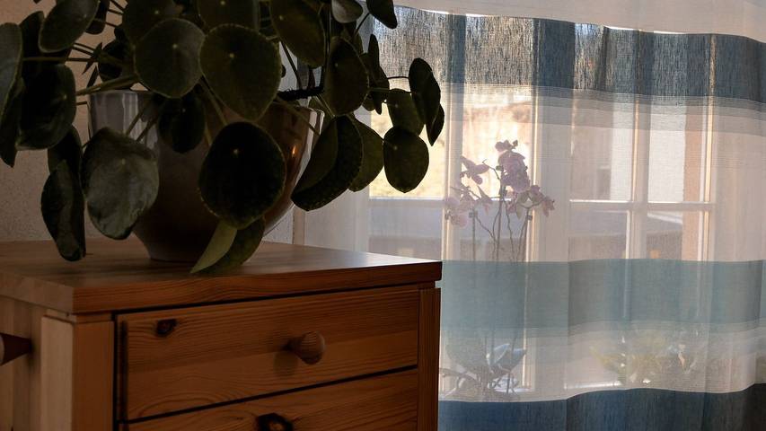 Ferienhaus für 3 Personen in Altenburg - 4