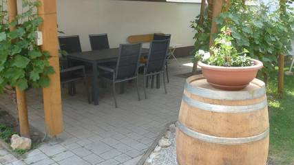 Ferienwohnung für 4 Personen in Illmitz, Neusiedlersee-Hügelland, Bild 2