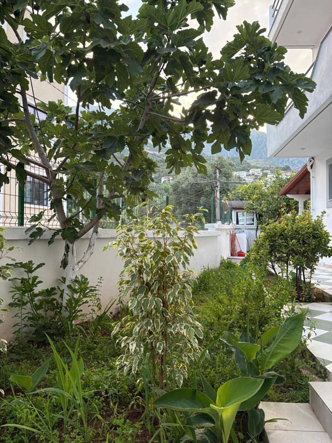 Maison d’hôte pour 2 personnes, avec vue ainsi que jardin et terrasse dans Dhërmi - 2