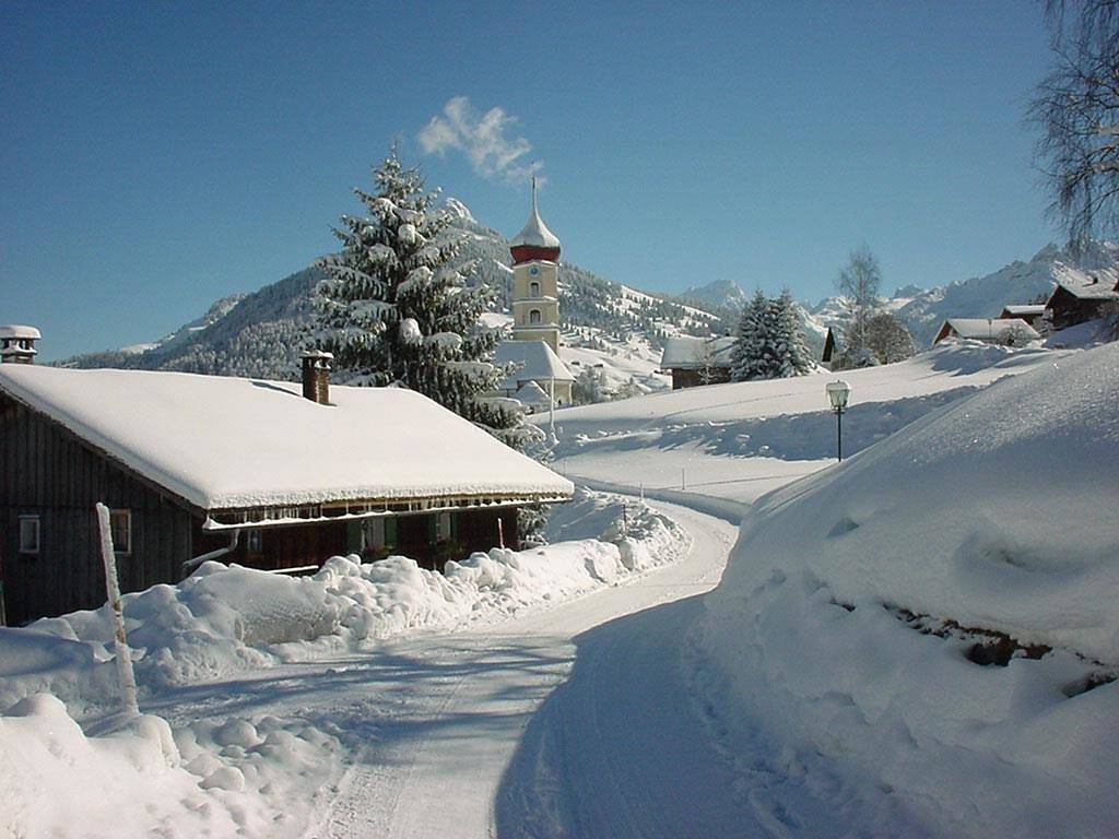 Ganze Ferienwohnung, Zf Ferienwohnung Pfiffareute in Raggal, Lechquellengebirge