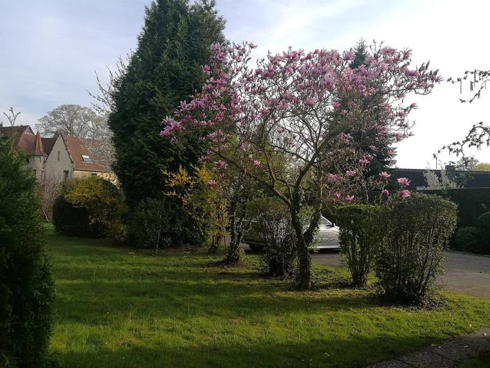 Ferienwohnung für 2 Personen, mit Terrasse in Bad Pyrmont - 2