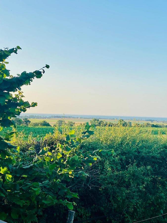 Gîte pour 2 personnes, avec jacuzzi et balcon à Bazenville - 3