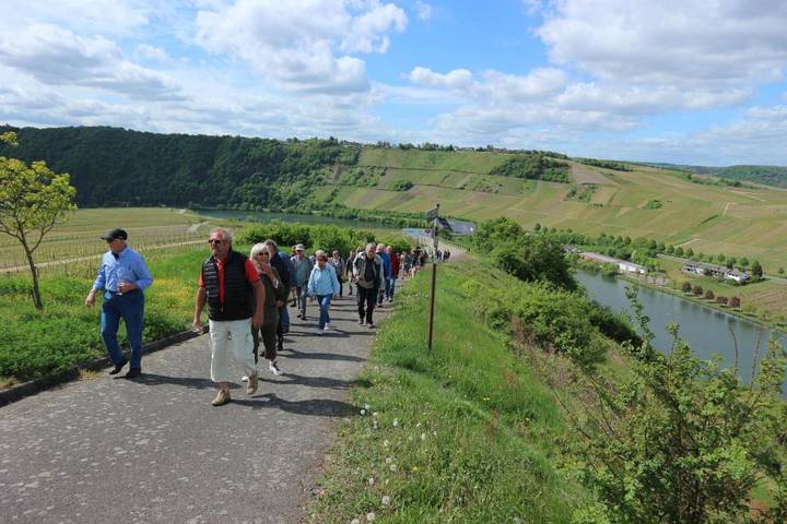 Ferienhaus für 4 Personen, mit Terrasse an der Mosel - 4