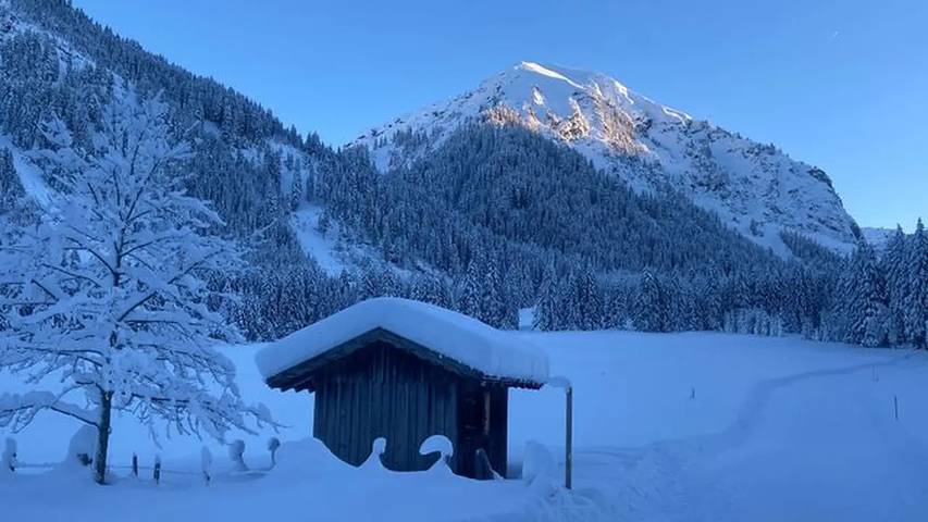 Ferienwohnung für 5 Personen, mit Garten und Balkon in Tannheim (Tirol) - 3