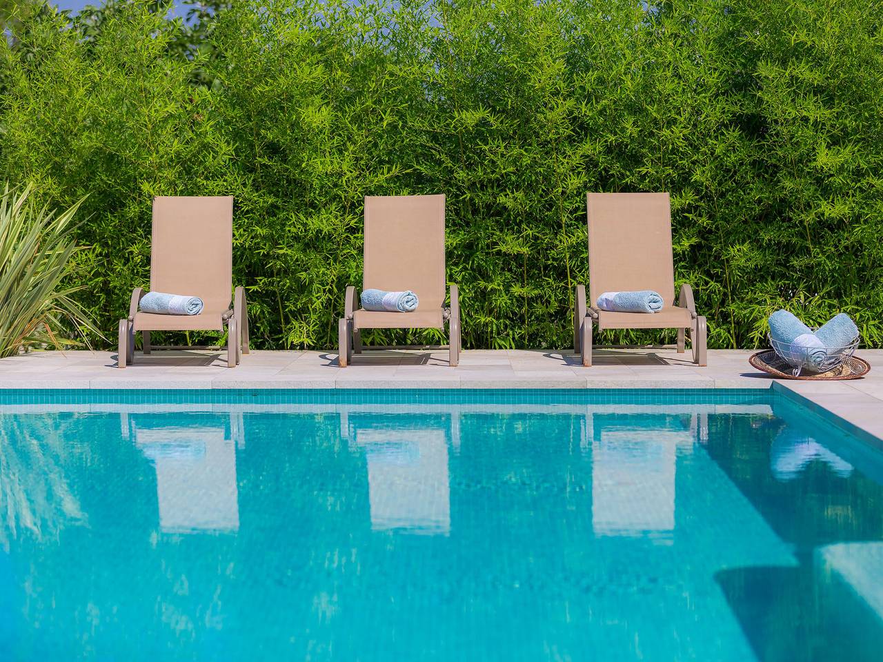 Salamander in Stinjan, Pula