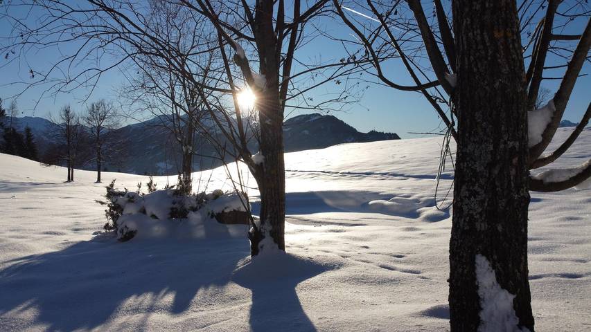 Ferienhaus für 7 Personen, mit Ausblick und Terrasse sowie Garten, mit Haustier in Reith im Alpbachtal - 3