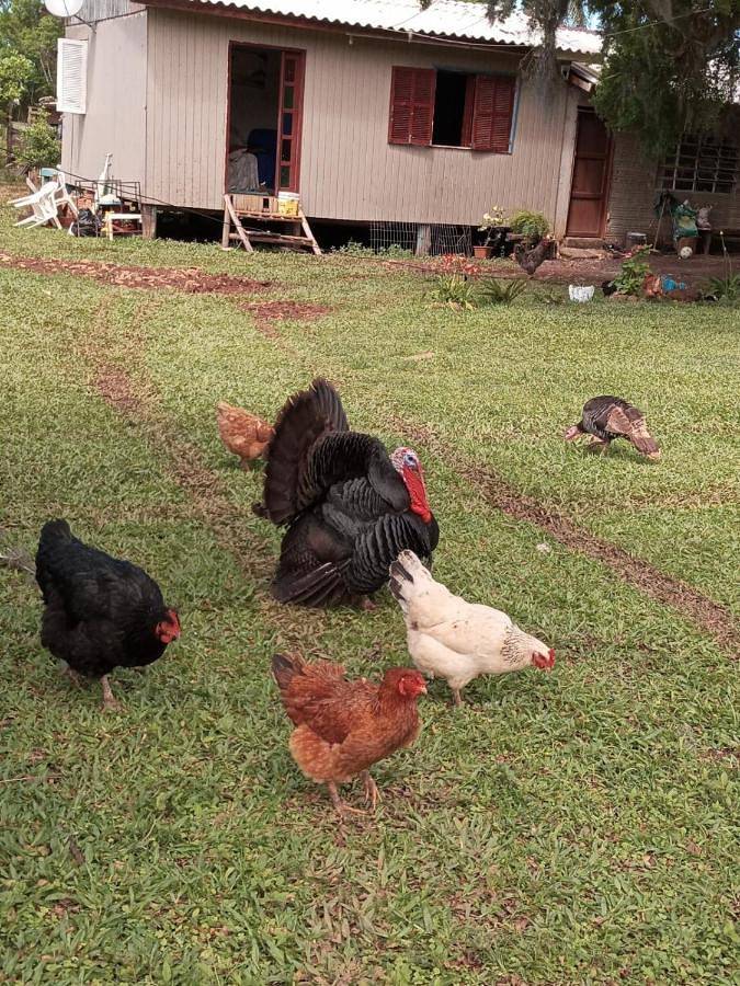 Maison d’hôte pour 2 personnes, avec balcon dans Mahé - 4