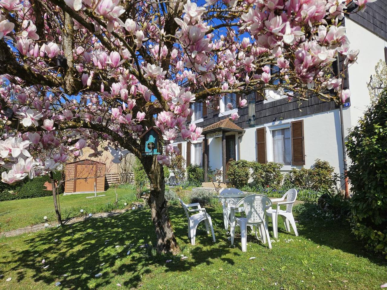 Le Doubs Comtois in Prairie-Grands Jardins, Montbéliard
