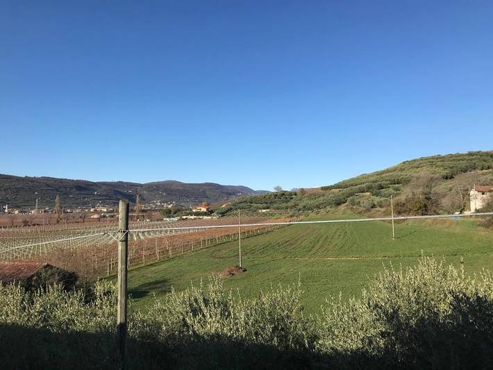 Chambre d’hôte pour 2 personnes, avec vue et jardin, animaux acceptés à Vérone - 3