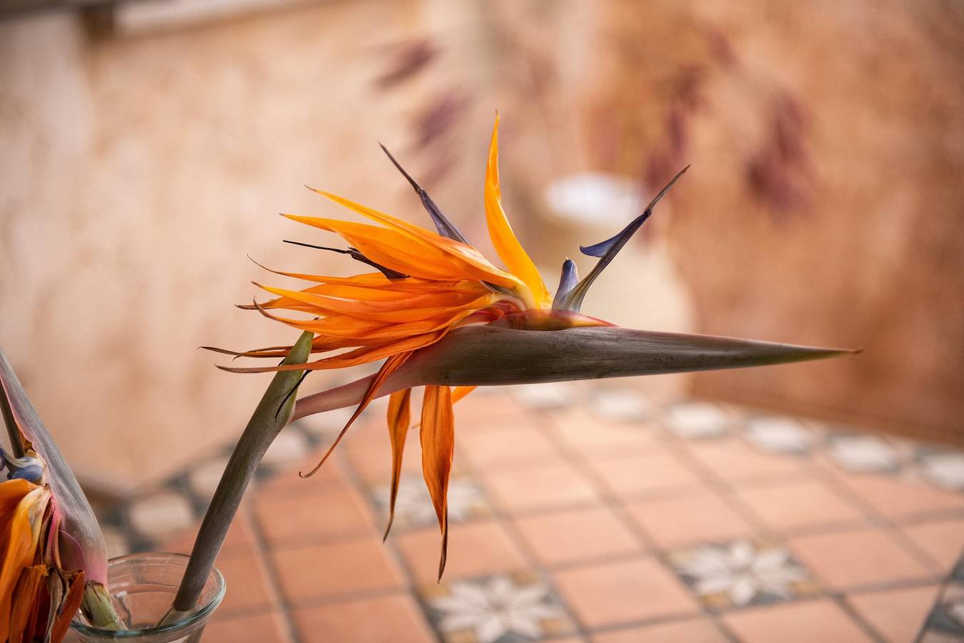 Villa 'Villetta 305' mit Meerblick, Garten, Tennisplatz und Klimaanlage in Sant'Elmo, Cagliari Provinz