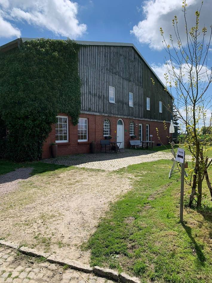 Bauernhof für 5 Personen, mit Terrasse und Garten in Friedrichskoog - 4