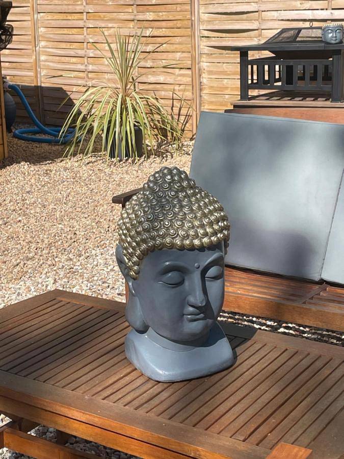 Location de vacances pour 2 personnes, avec terrasse et jardin ainsi que piscine et vue à Oradour-Saint-Genest - 4