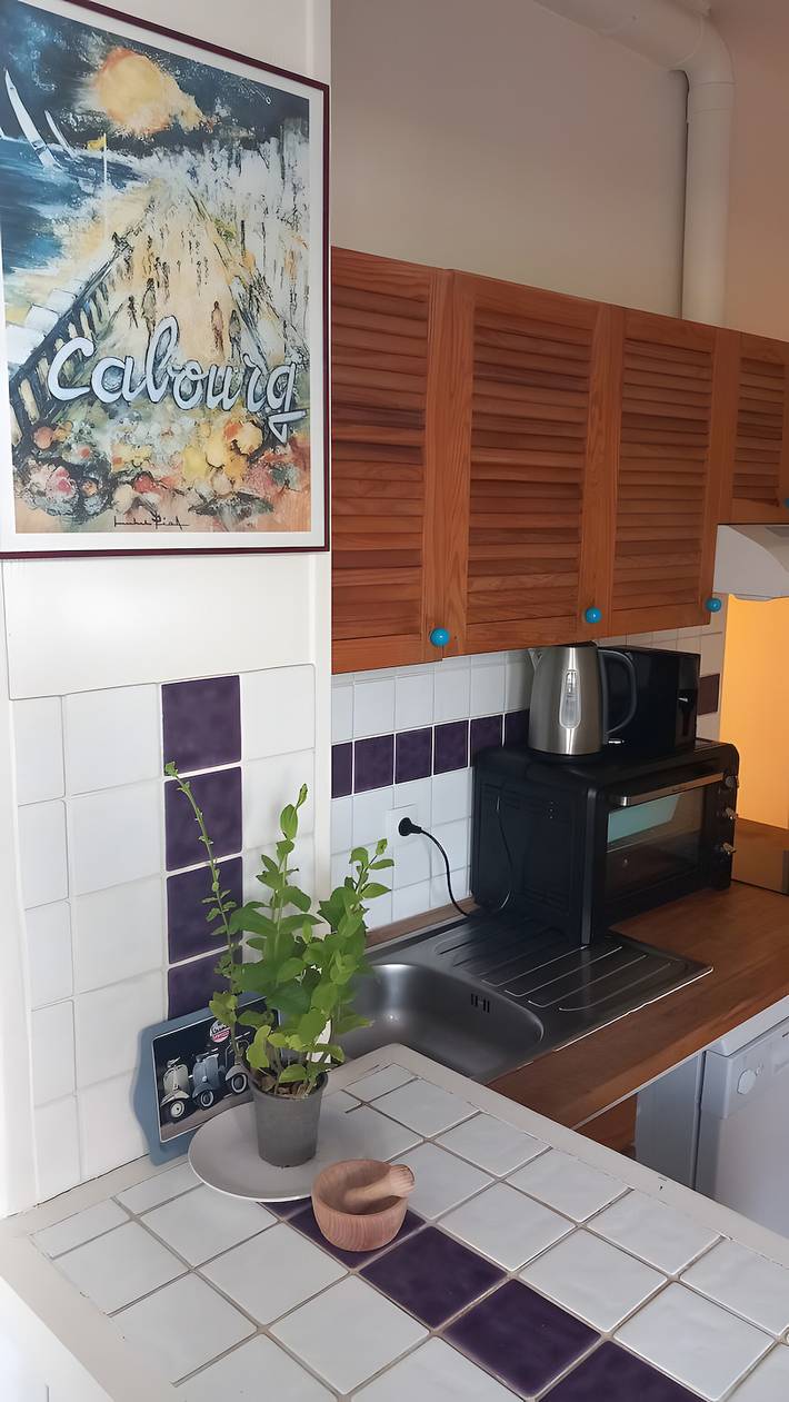 Gîte pour 4 personnes dans Grand Casino de Cabourg - 4