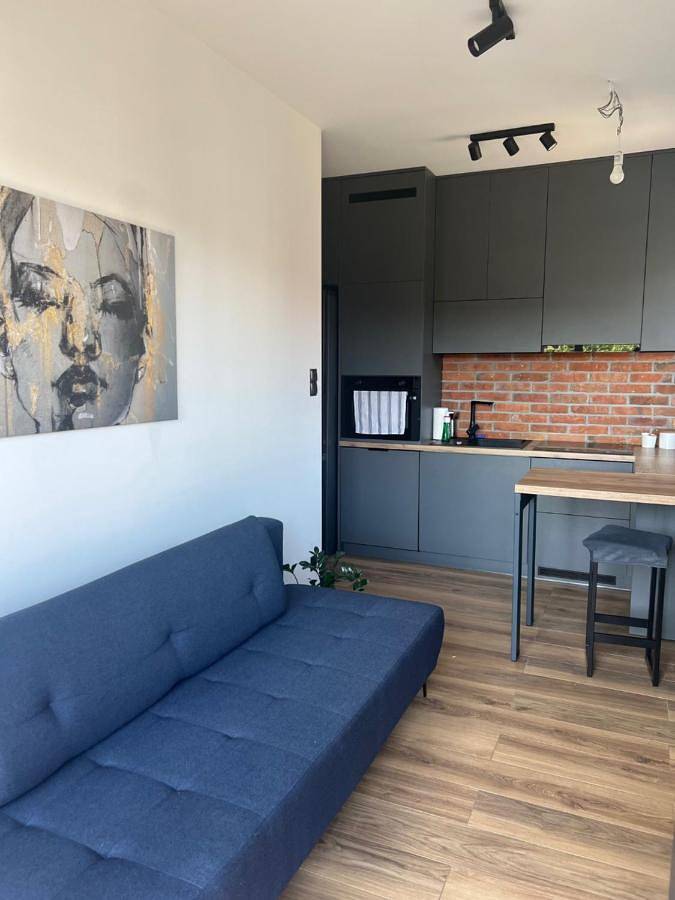 Loft dla 3 osób, z balkon w Łódź