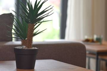 Vakantieappartement voor 5 Personen in Istanbul, Marmararegio, Afbeelding 3