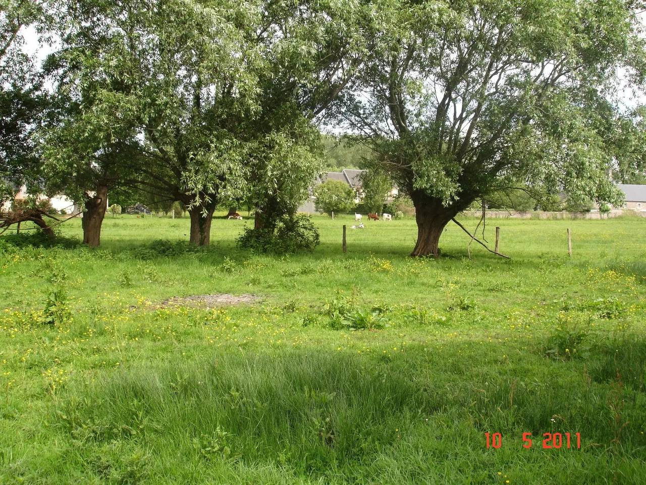 Casa 4 Personas in Hauteville-sur-Mer, Coutances y alrededores