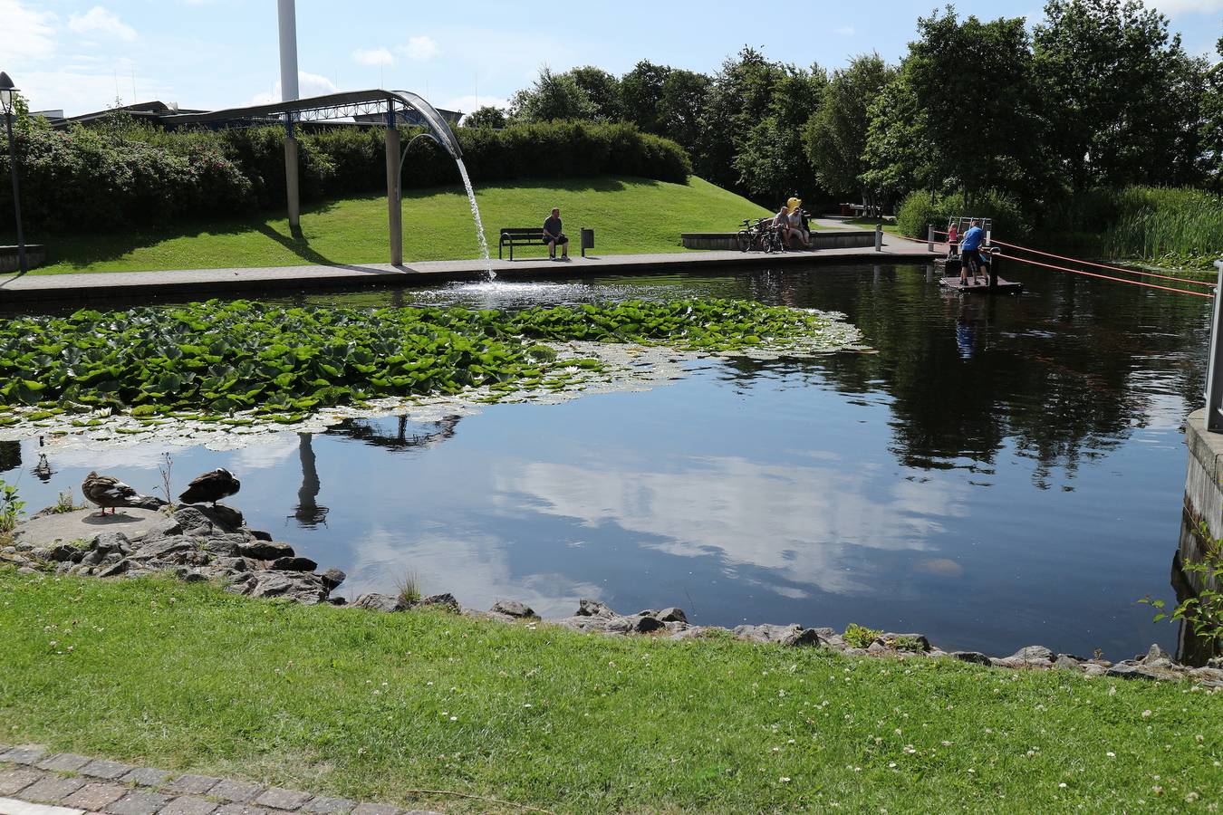 Bild 1