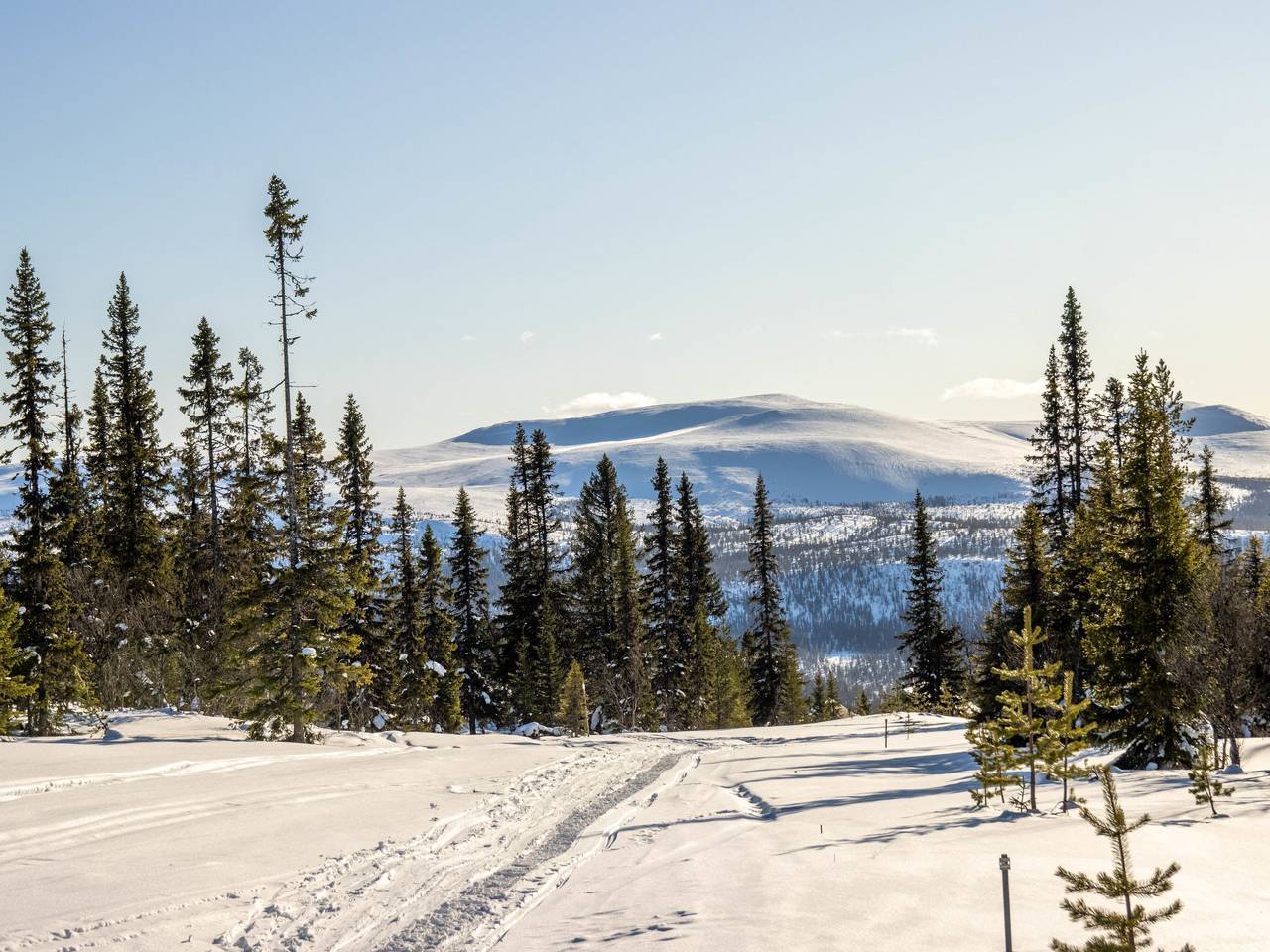 Ganze Wohnung, Svanhågna Gård in Lofsdalen, Härjedalen
